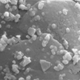 Illustration for article titled Answer Key: Metal Band or Microbe?
